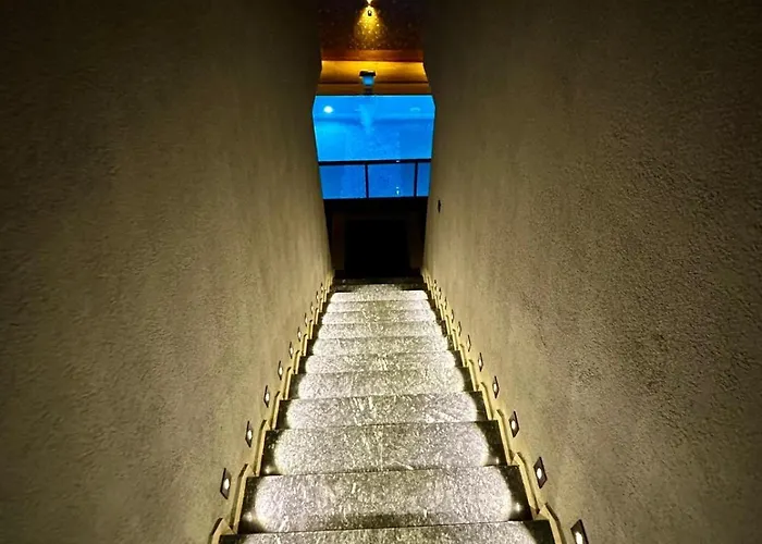 Leo Premium Kusadası